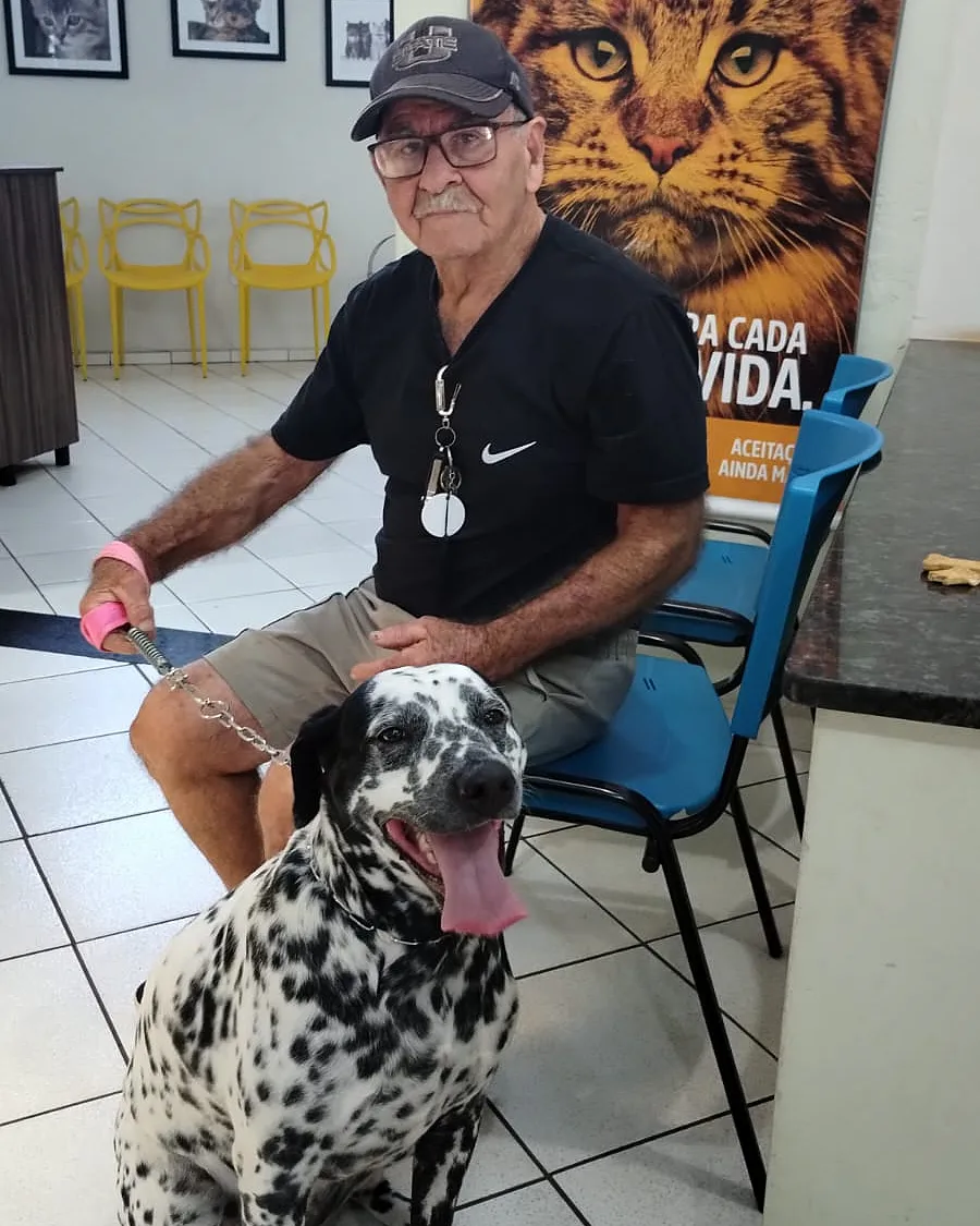 Imagem da galeria Pet Vida
