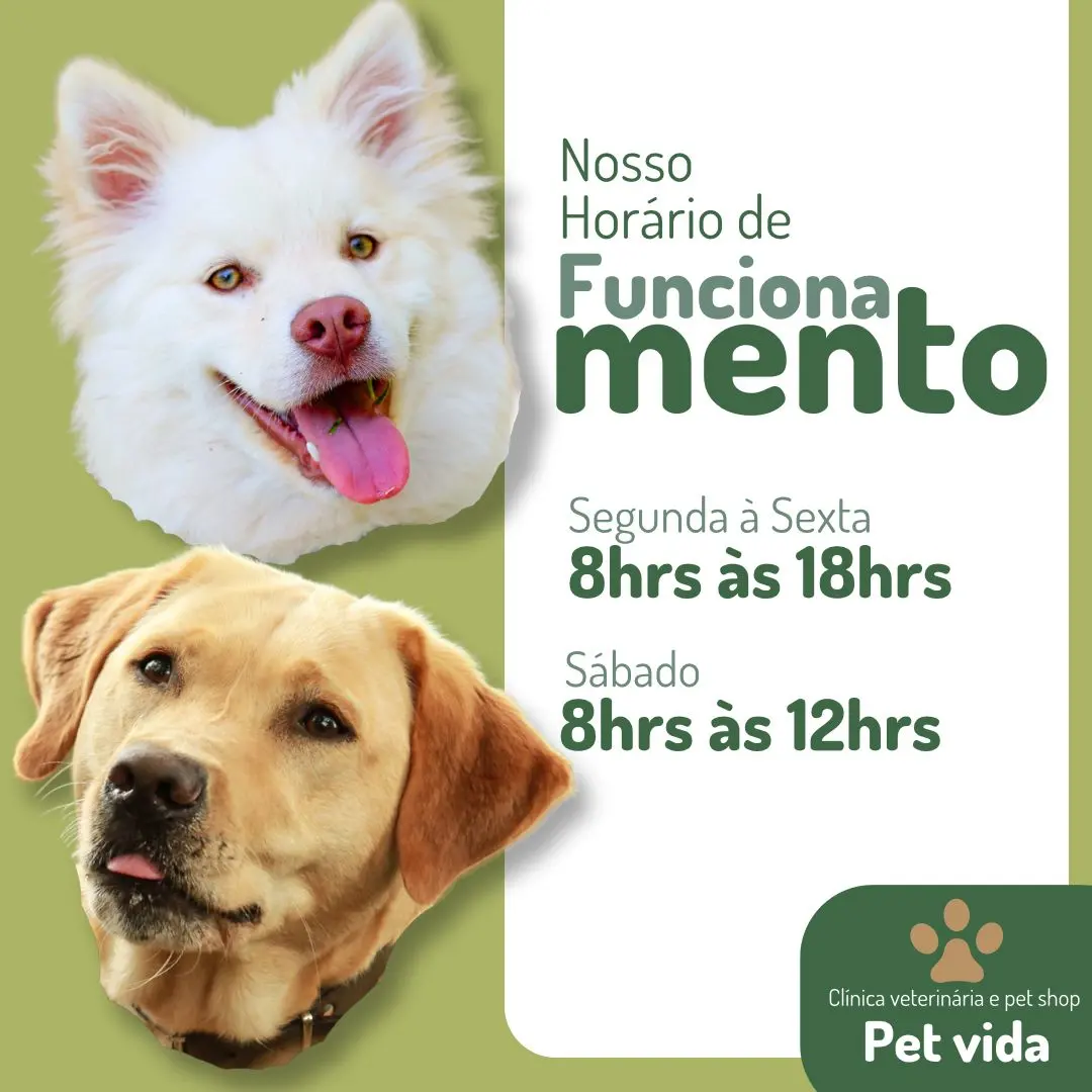 Imagem da galeria Pet Vida