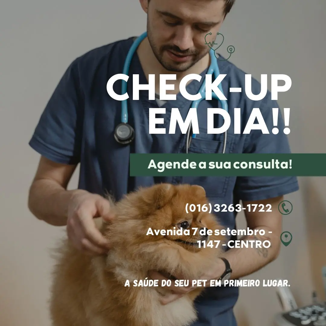 Imagem da galeria Pet Vida