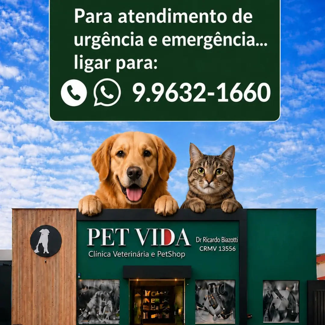 Imagem da galeria Pet Vida