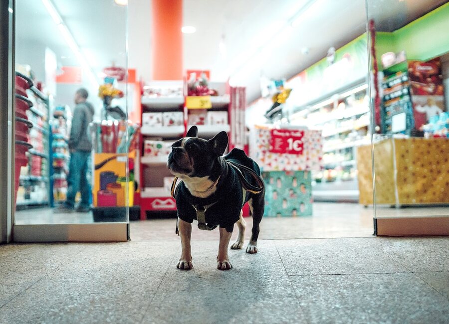 Pet Shop