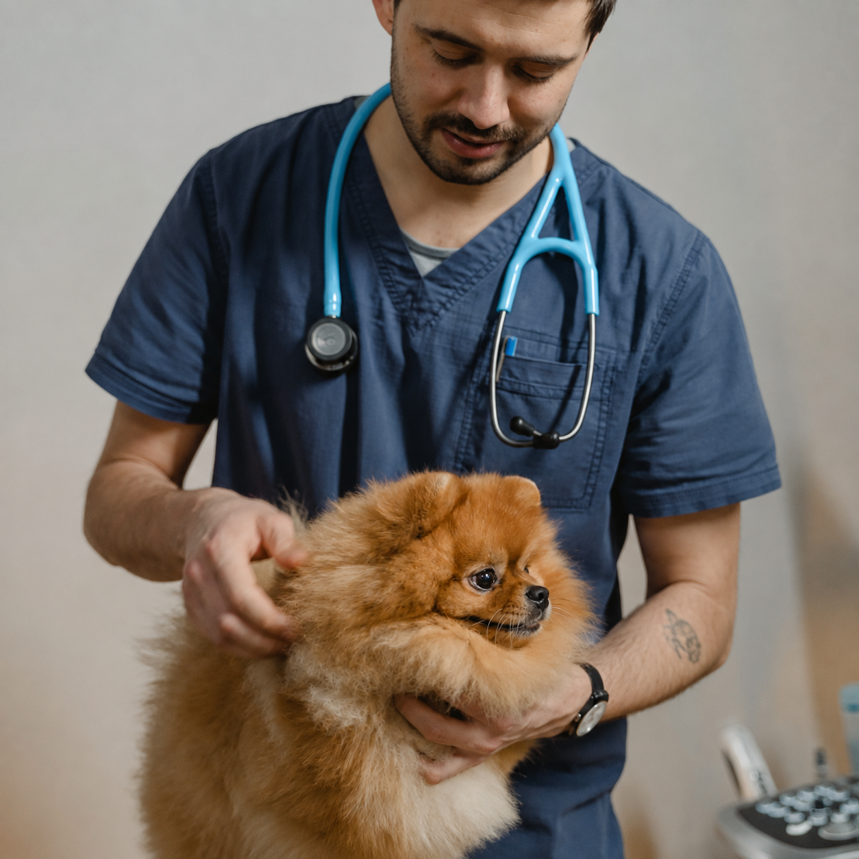 Dr. Ricardo Biazotti, veterinário responsável pela Pet Vida